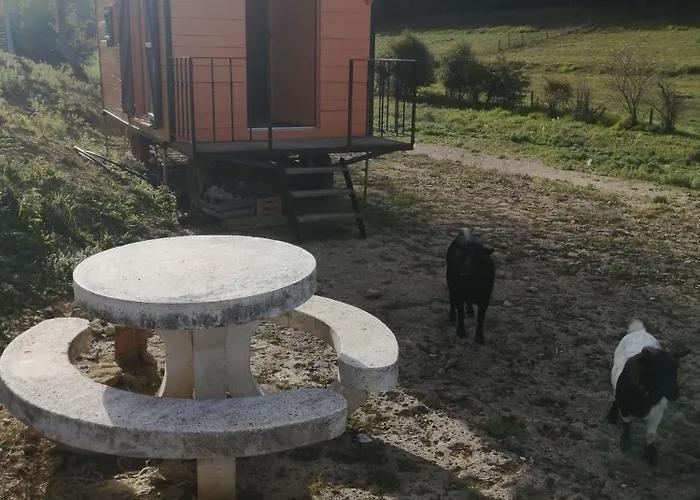 Roulotte En Total Deconnection